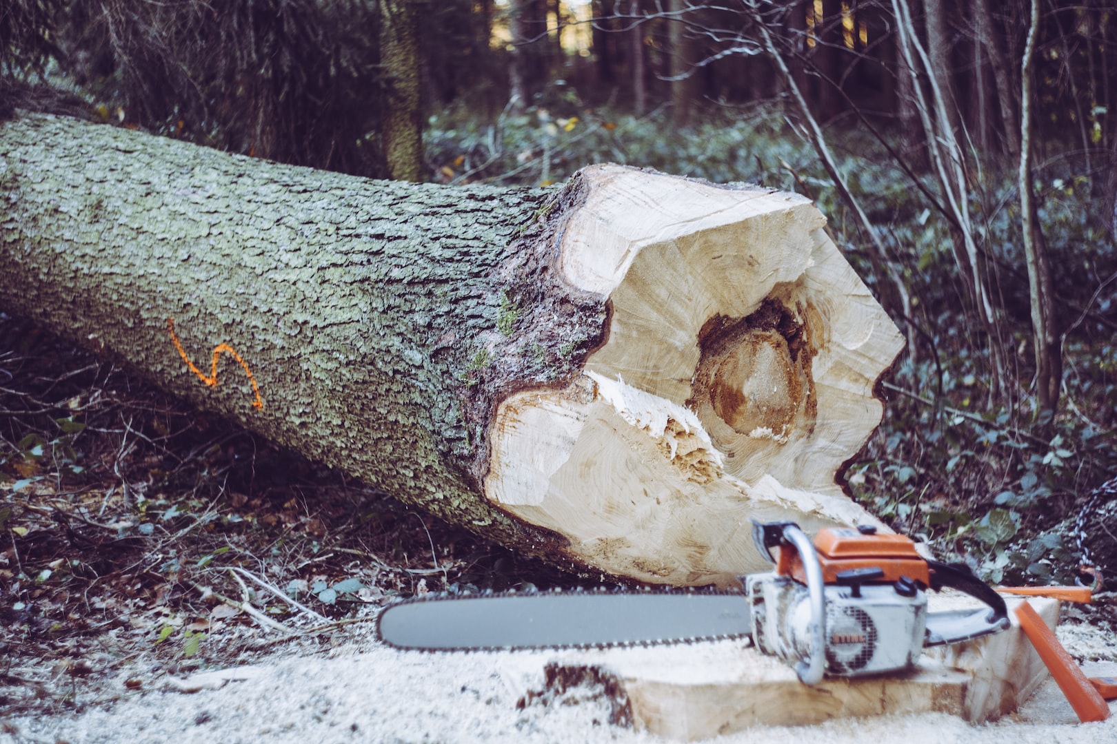 Chess Valley Tree Care